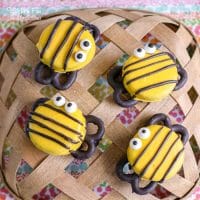 大黄蜂奥利奥斯太臭了！如果您正在为孩子们寻找一个有趣的享受，或者您正在举办以蜜蜂为主题的生日聚会，那么这是给您的。