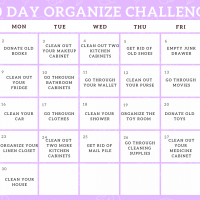 30天的组织挑战