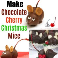 如何制作巧克力樱桃老鼠圣狗万官网诞节！