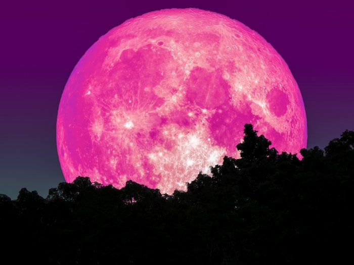 粉红色的超级月亮