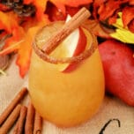 这种收获的玛格丽塔酒食谱非常适合秋季和感恩节。它充满了梨，苹果和橙色的口味。