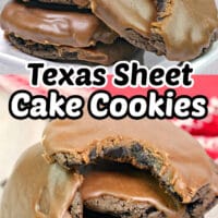 这些得克萨斯州的蛋糕饼干是德克萨斯州薄板蛋糕和双巧克力饼干之间的十字架。狗万官网这个食谱不仅美味，而且非常容易。