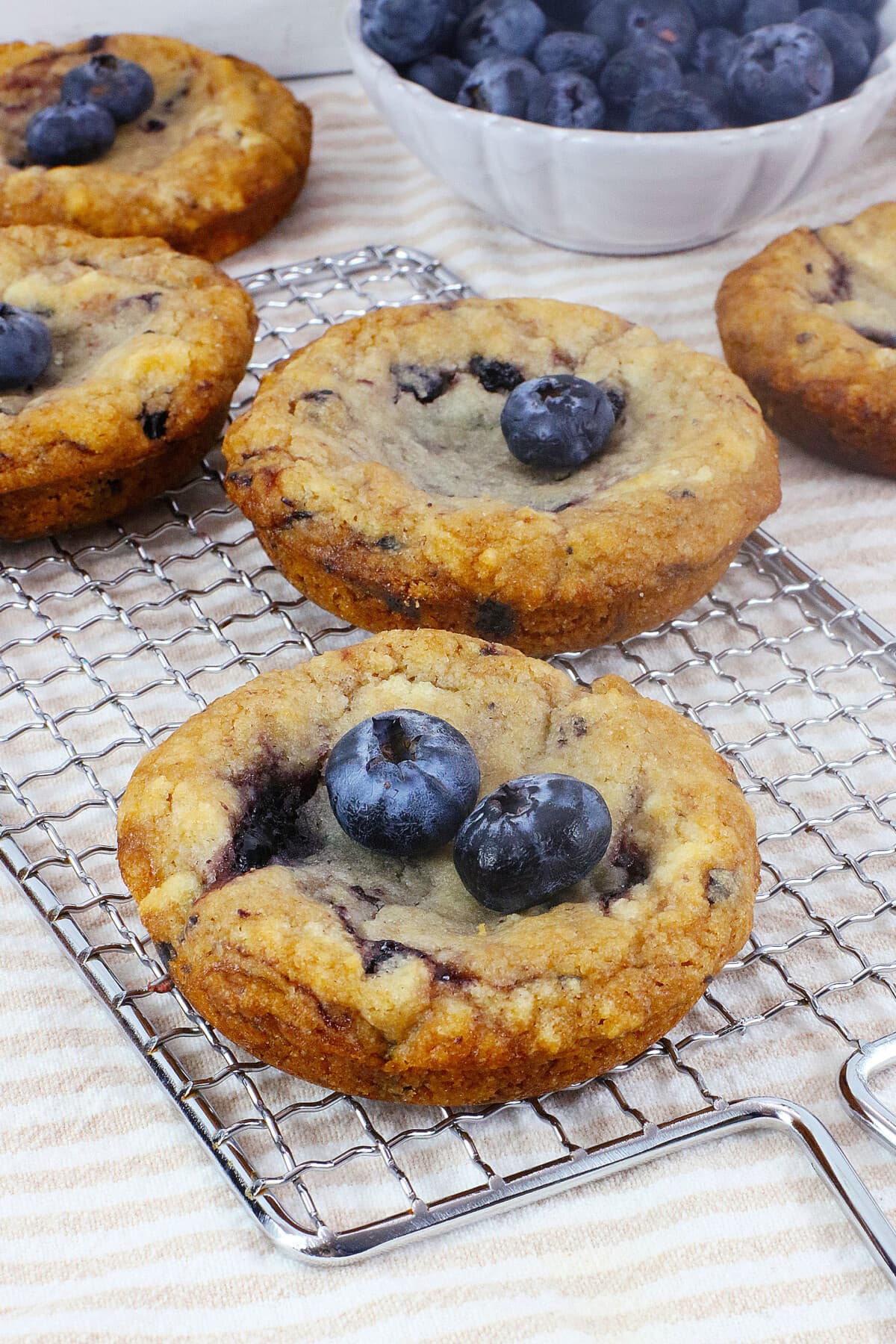 蓝莓松饼饼干在架子上的单层中。GydF4y2Ba