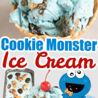 Cookie Monster冰淇淋别针GydF4y2Ba